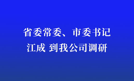 省委常委、市委书记江成到我公司调研
